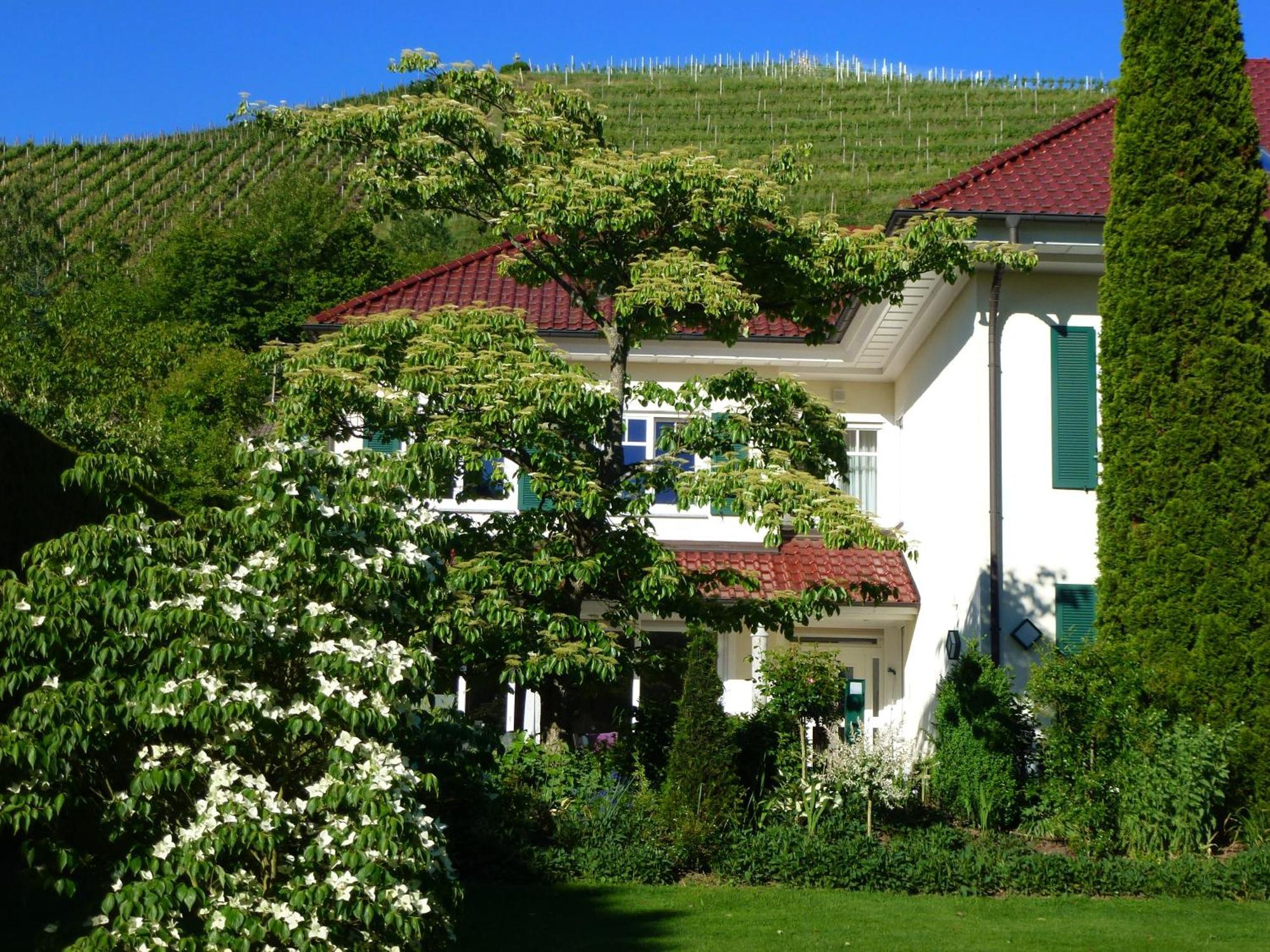 Baumanns Landhaus 두르바흐 객실 사진