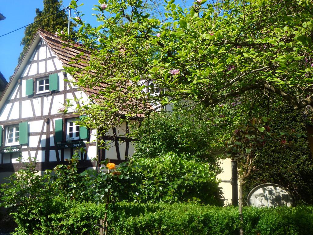 Baumanns Landhaus 두르바흐 외부 사진