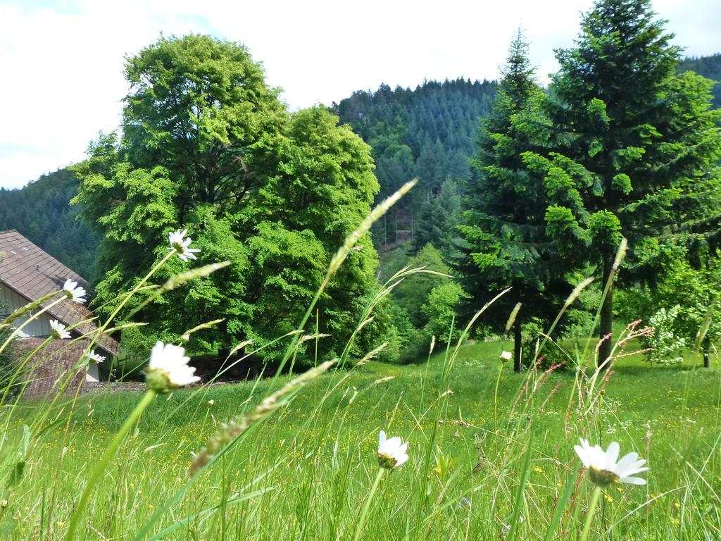 Baumanns Landhaus 두르바흐 외부 사진